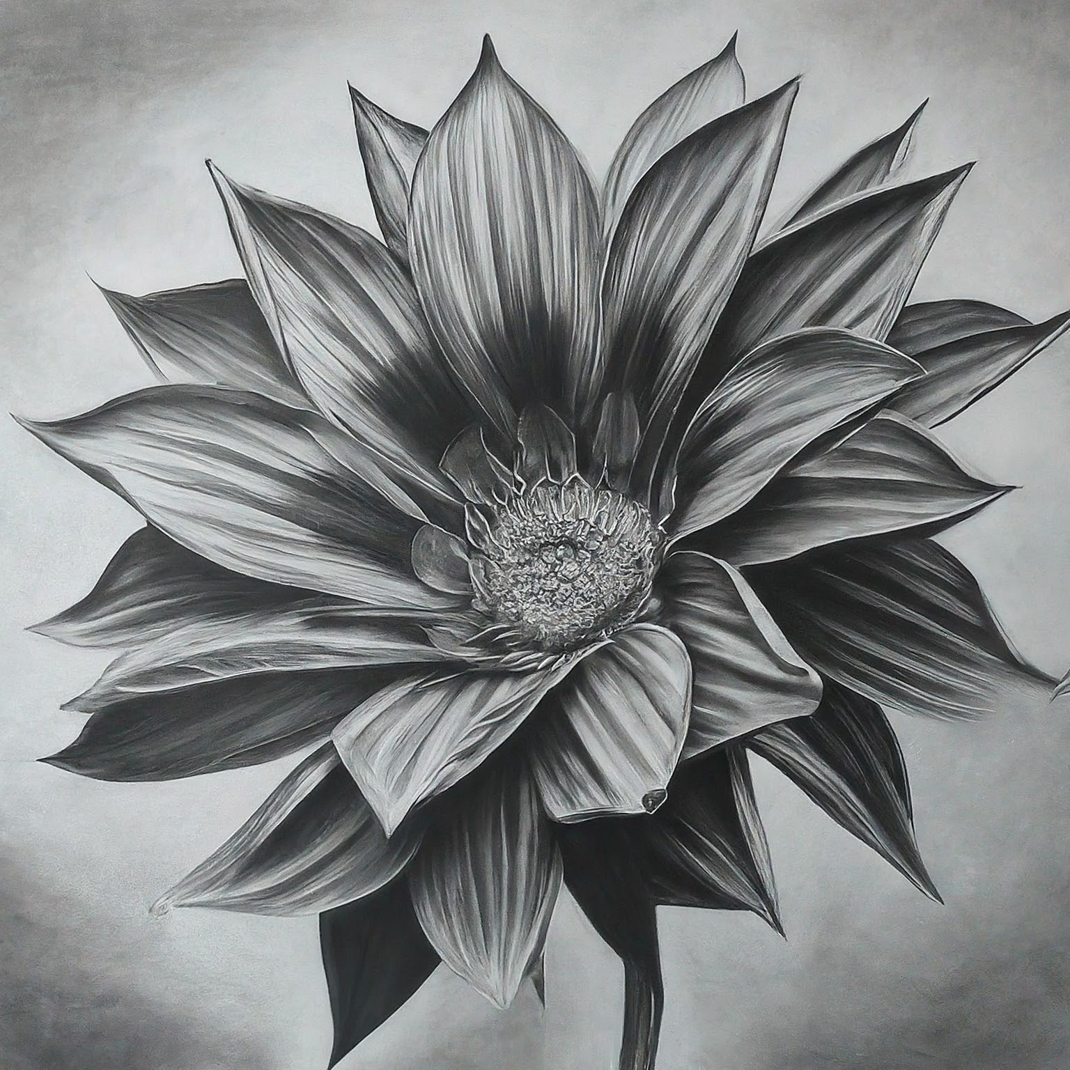 A high contrast pencil drawing. Subject: flower. Also include references to these current events: current global events, technological advances, environmental changes. No background. Hyper-focused composition.