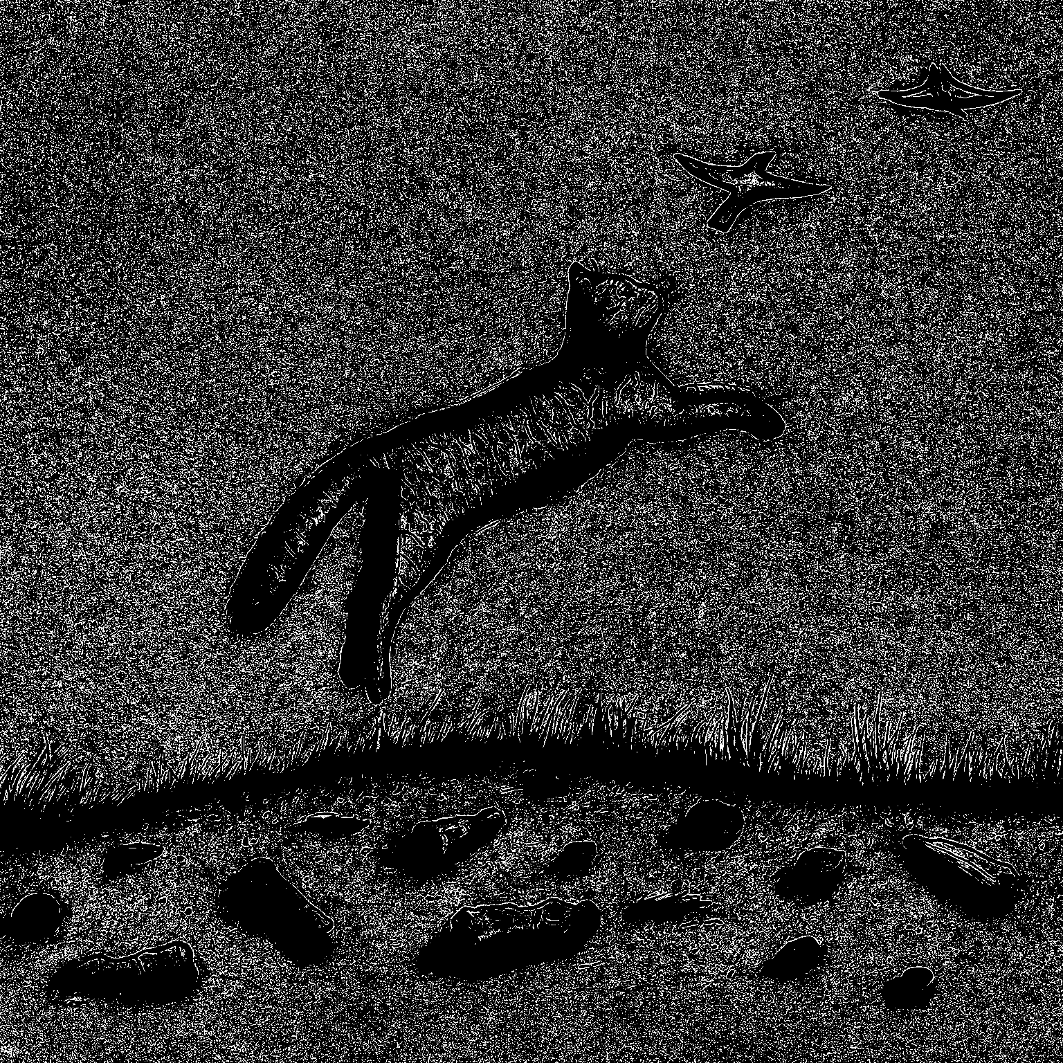 Cats chasing birds • Global microplastic proliferation