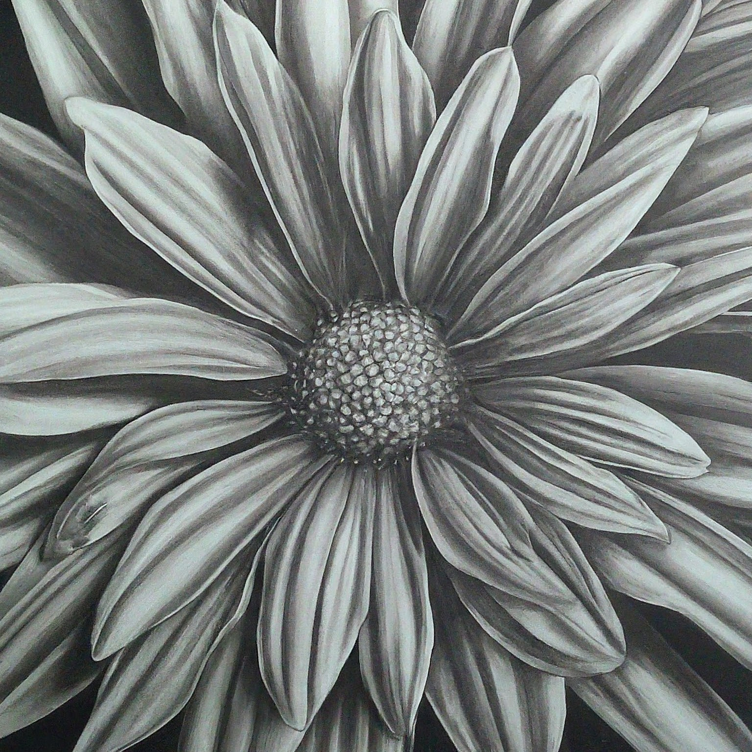 A high contrast pencil drawing. Subject: flower. Also include references to these current events: current global events, technological advances, environmental changes. No background. Hyper-focused composition.