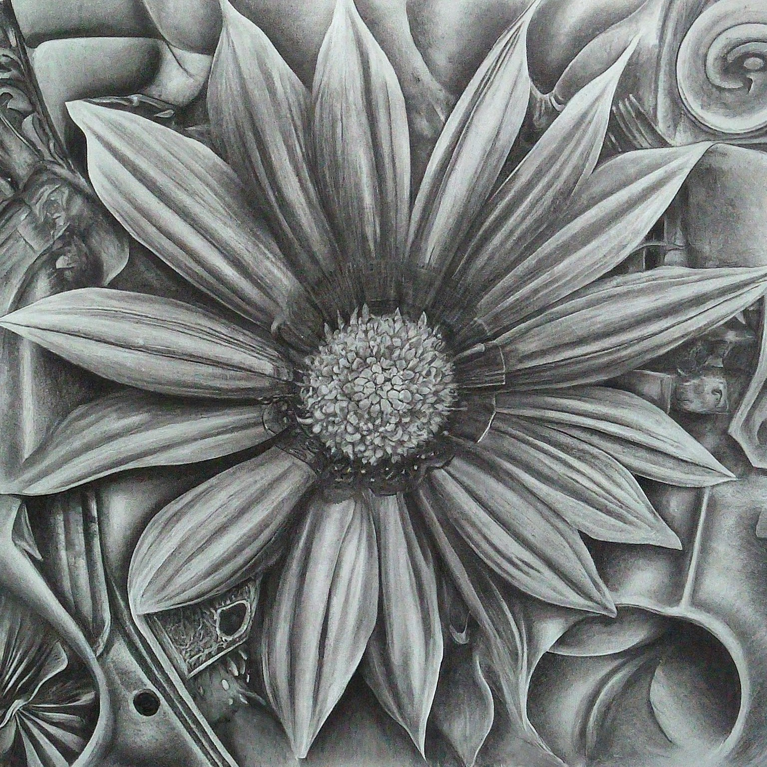 A detailed drawing of flower, inspired by "garden" and influenced by technological advances. Render in high contrast pencil or charcoal, no background, hyper-focused.