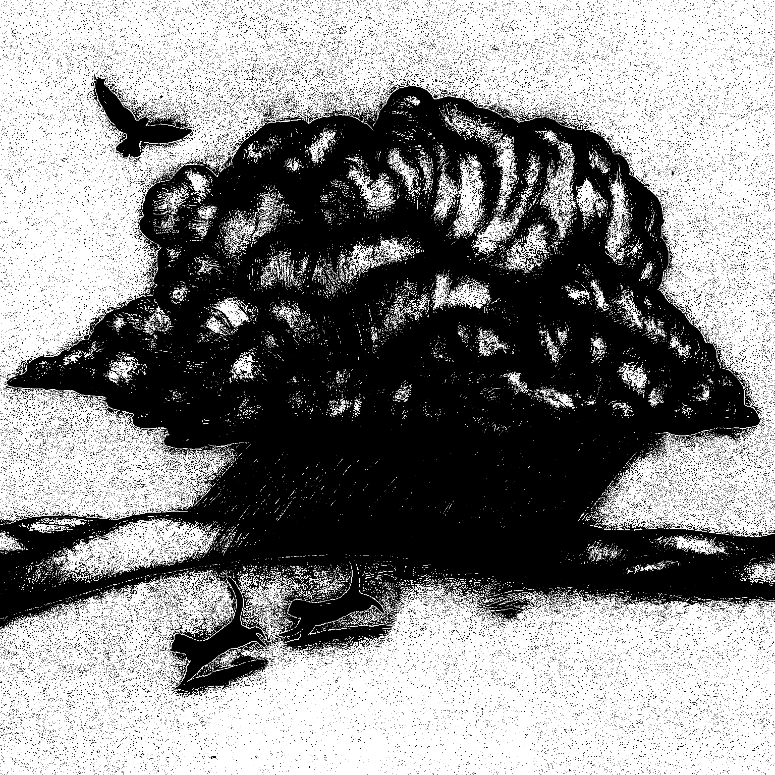 Cats chasing bird • Extreme weather events increase